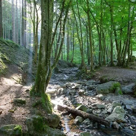 Glamping Tent In Signy-labbaye Appartement *