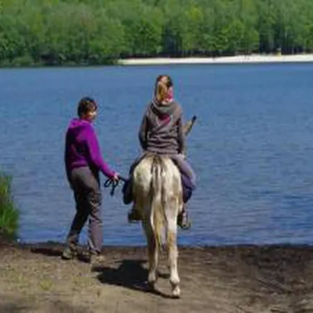 Апартаменты Comet Glamping Tent, Ardennes Signy-l'Abbaye