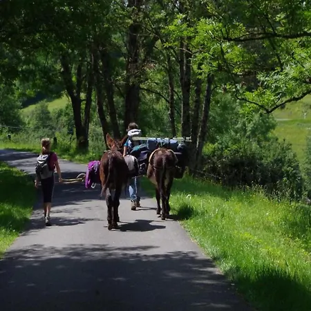 Comet Glamping Tent, Ardennes