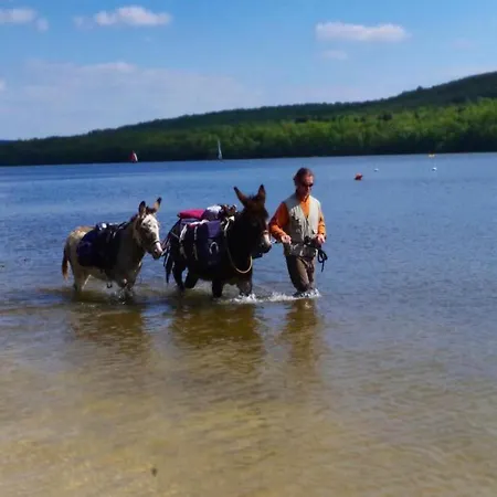 Comet Glamping Tent, Ardennes Апартаменты *