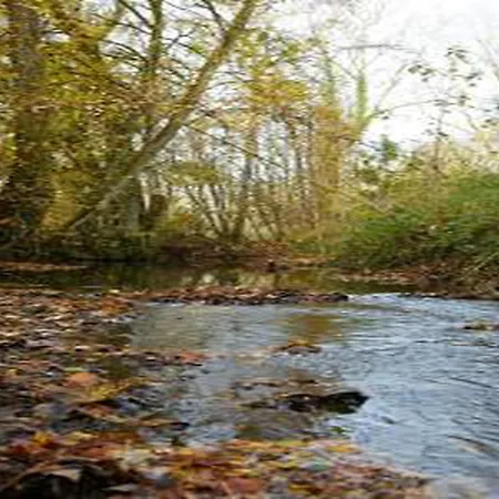 Апартаменты Comet Glamping Tent, Ardennes