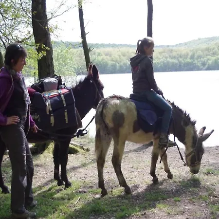 Comet Glamping Tent, Ardennes Апартаменты *