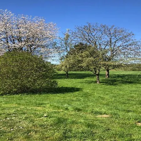 Comet Glamping Tent, Ardennes Апартаменты Signy-l'Abbaye