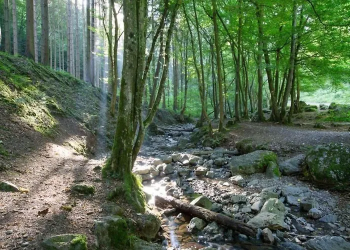 Comet Glamping Tent, Ardennes Apartment *