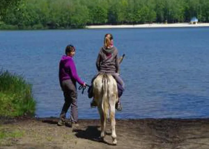 Apartment Comet Glamping Tent, Ardennes Signy-l'Abbaye