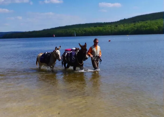 Comet Glamping Tent, Ardennes Apartment *